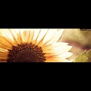 Meet your Posher, Sydney